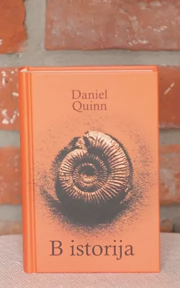 B istorija - Daniel Quinn, knyga