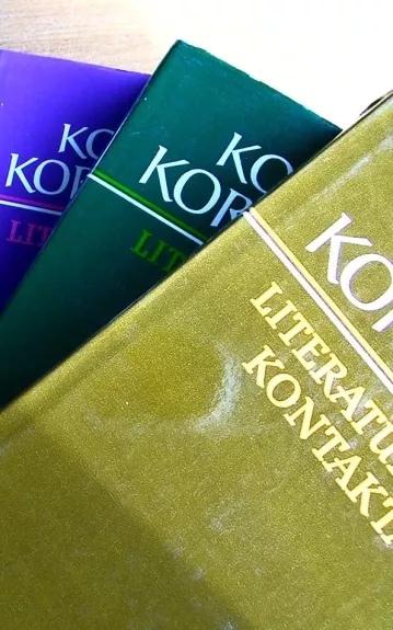 Literatūros kritika - Kostas Korsakas, knyga