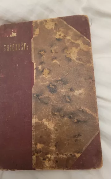 Knygnešys (2 dalis) /1864-1903/ - Petras Ruseckas, knyga