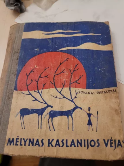 Mėlynas Kaslanijos vėjas - Juvanas Šestalovas, knyga