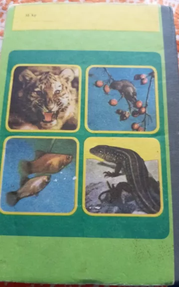 Zoologija. Vadovėlis 6 - 7 klasei