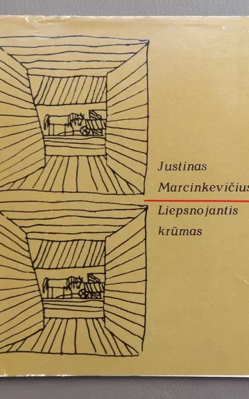 Liepsnojantis krūmas - Justinas Marcinkevičius, knyga
