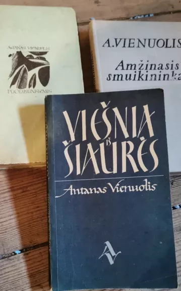 Puodziunkiemis 1969 - Antanas Vienuolis, knyga 1