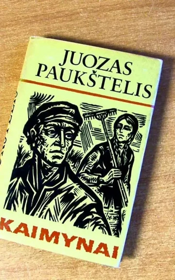 Kaimynai - Juozas Paukštelis, knyga