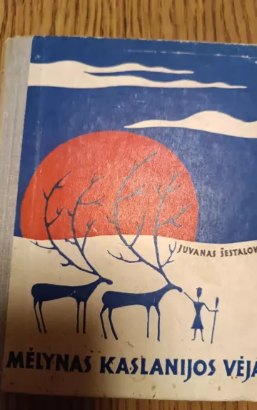 Mėlynas Kaslanijos vėjas - Juvanas Šestalovas, knyga