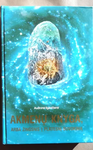 Akmenų knyga, arba žingsnis į platesnį suvokimą (I tomas) - Audronė Ilgevičienė, knyga