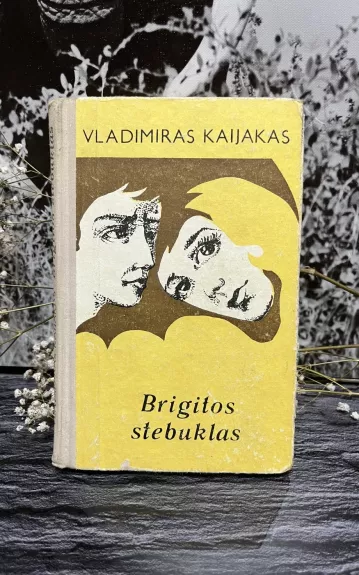 Brigitos stebuklas - Vladimiras Kaijakas, knyga