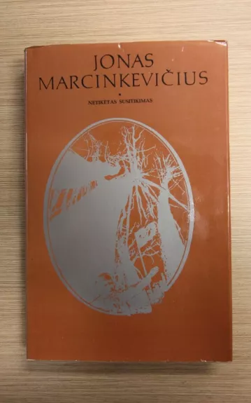 Netikėtas susitikimas - Jonas Marcinkevičius, knyga