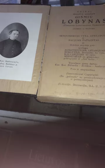 Grynai mūsiškai parašytų giesmių lobynas