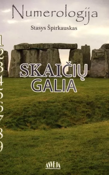 Numerologija Skaičių galia - Stasys Špirkauskas, knyga