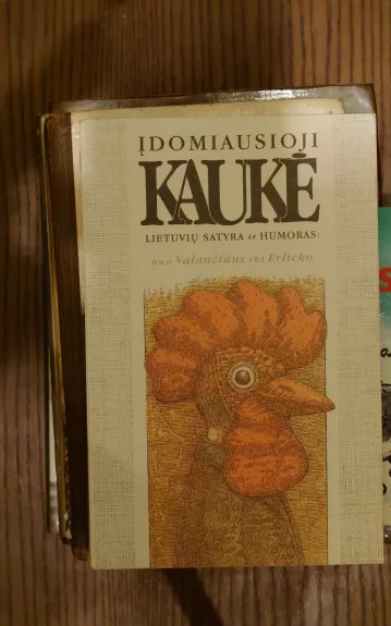 Įdomiausioji kaukė - V. Žilinskaitė, knyga