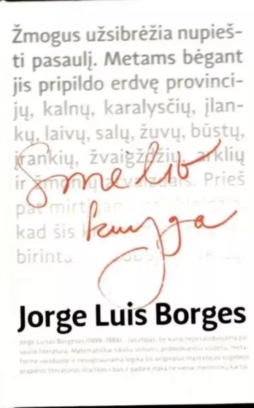 Smėlio knyga - Jorge Luis Borges, knyga