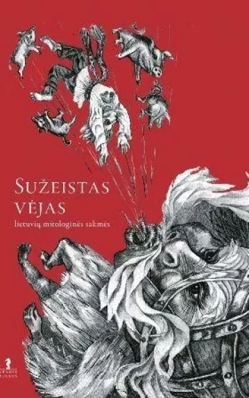 Sužeistas vėjas