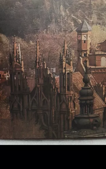 Bažnyčia Lietuvoje