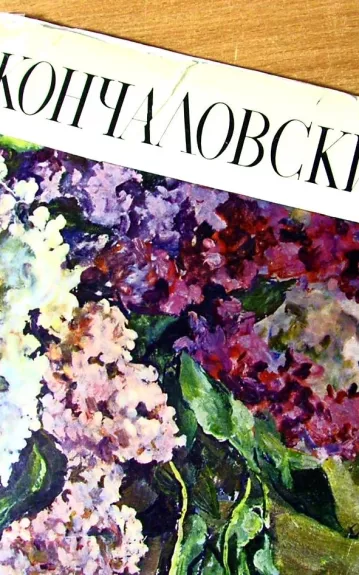 Кончаловский образ и цвет