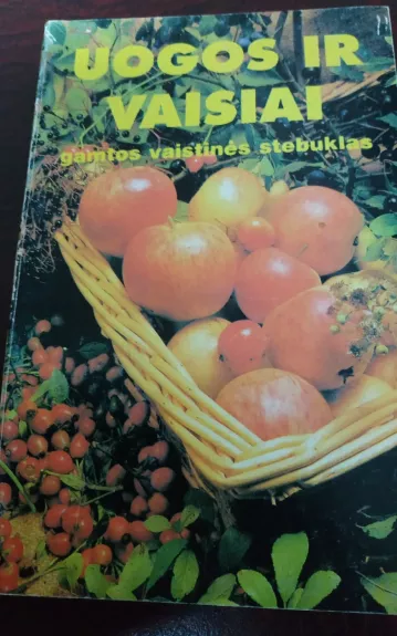 Uogos ir vaisiai - gamtos vaistinės stebuklas - Petras Dagilis, knyga