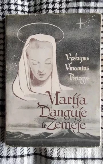 Marija danguje ir žemėje - Vincentas Brizgys, knyga