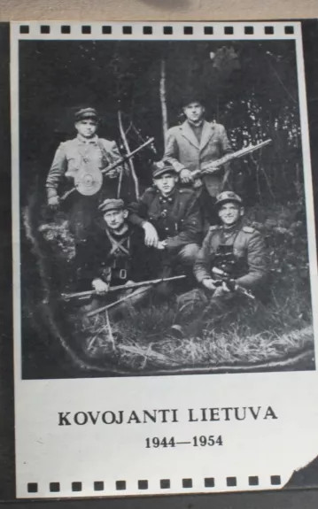 Kovojanti Lietuva - V. Gylys, knyga 1