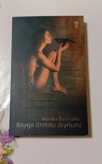 Knyga ištrintu skyriumi - Monika Budinaitė, knyga