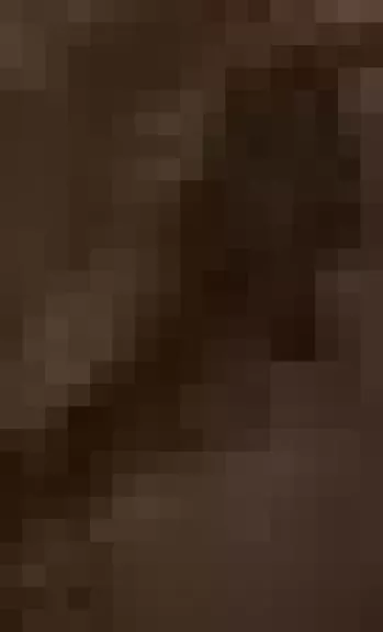 Mylimiausios pasakos