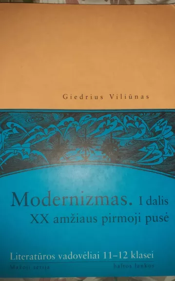 Modernizmas (1 dalis) - Giedrius Viliūnas, knyga