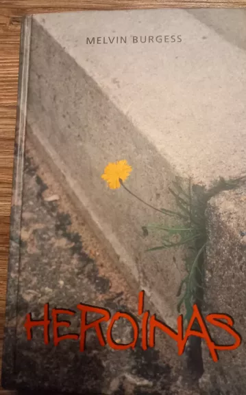 Heroinas - Melvin Burgess, knyga