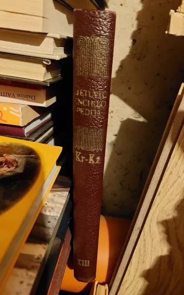 Bostono enciklopedija - Autorių Kolektyvas, knyga 1
