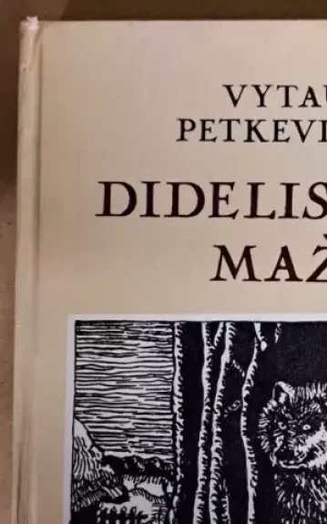 Didelis ir mažas - Vytautas Petkevičius, knyga