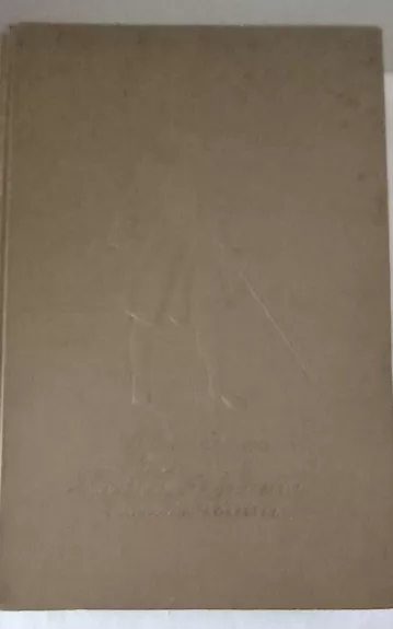 Istoriya Toma Dzhonsa naydenysha - Henris Fildingas, knyga