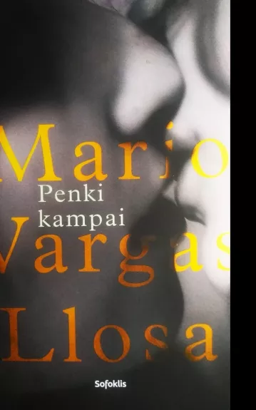 Penki kampai - Mario Vargas Llosa, knyga