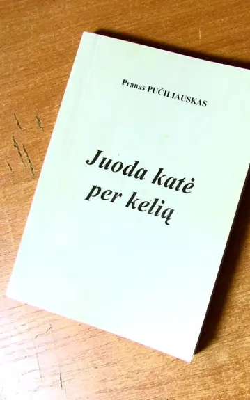 Juoda katė per kelią