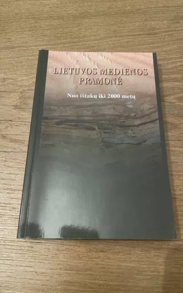 Lietuvos medienos pramonė. Nuo ištakų iki 2000 metų