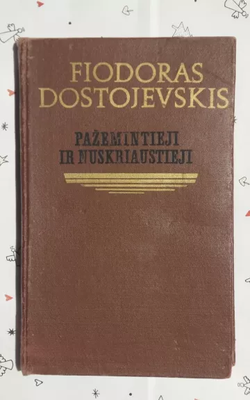 Pazemintieji ir nuskriaustieji - Fiodoras Dostojevskis, knyga