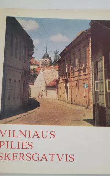 Vilniaus pilies skersgatvis - Vytautas Levandauskas, knyga