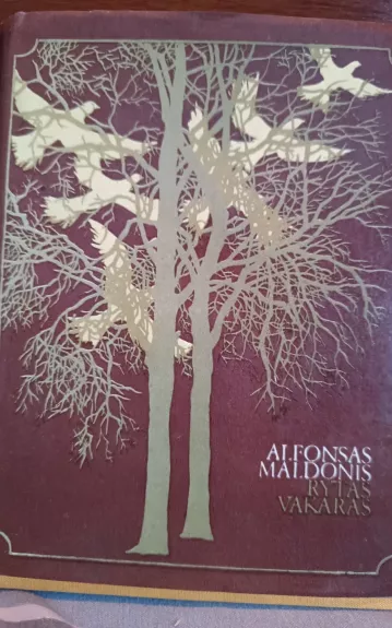 Rytas vakaras - Alfonsas Maldonis, knyga