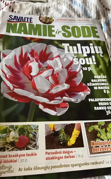 Namie ir sode 2020 10 (188) - Autorių Kolektyvas, knyga