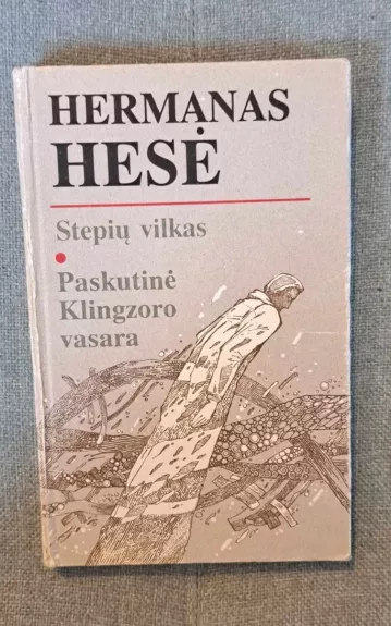 Stepių vilkas. Paskutinė Klingzoro vasara - Hermanas Hesė, knyga