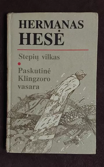 Stepiu vilkas / Paskutine Klingzoro vasara - Hermanas Hesė, knyga