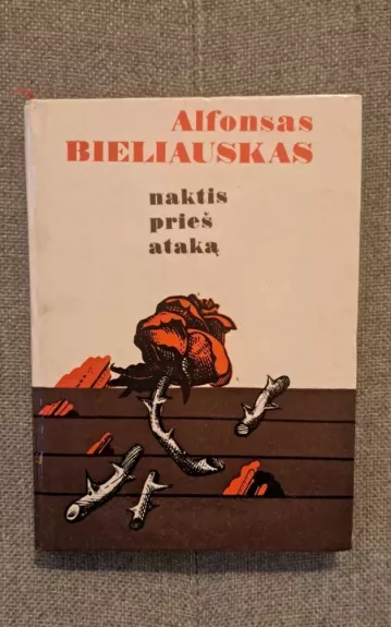 Naktis prieš ataką