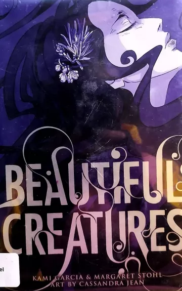 Beautiful Creatures - Kami Garcia, Margareth  Stohl, knyga