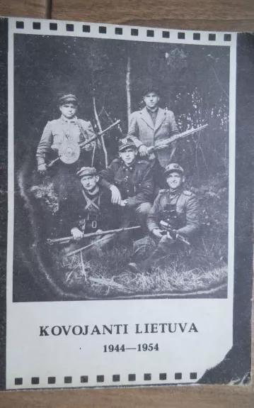 Kovojanti Lietuva - V. Gylys, knyga 1