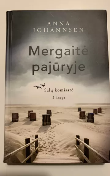 Mergaite pajuryje - Anna Johannsen, knyga