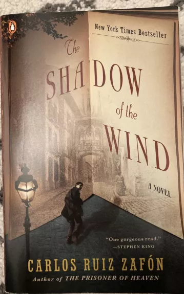 The Shadow of the Wind - Carlos Ruiz Zafon, knyga 1