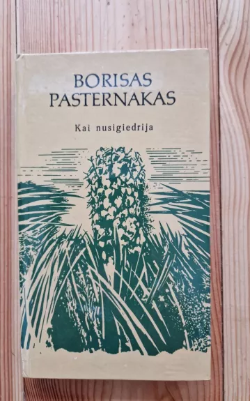 Kai nusigiedrija. Eilėraščiai