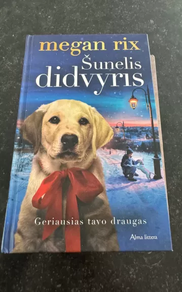Šunelis didvyris - Megan Rix, knyga