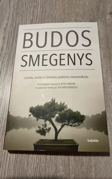 Budos smegenys. Laimės, meilės ir išminties neuromokslas - Rick Hanson, knyga