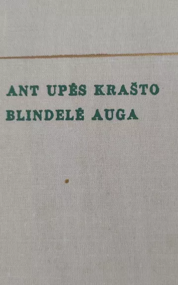 Ant upės krašto blindelė auga