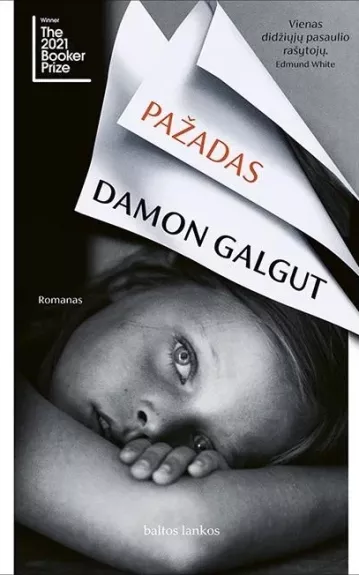 Pažadas - Damon Galgut, knyga