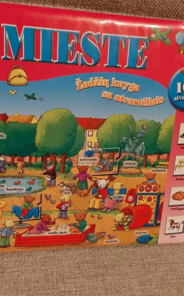 Mieste. Žodžių knyga su atvartėliais