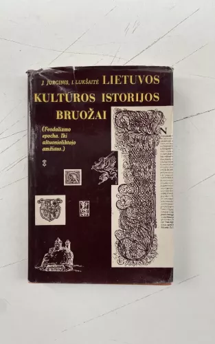 Lietuvos kultūros istorijos bruožai